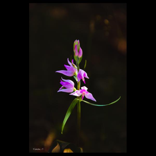 PHOTO84, CLUB, 84 , LUBERON